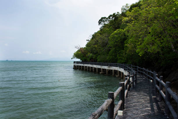 Stone bridge of time travel journey zone in sea ocean of Mu Ko Petra National Park for thai people and foreign traveler walking travel visit relax in Pak Bara village at La ngu city in Satun, Thailand puente de piedra de la zona de viaje en el tiempo en el océano marino del parque nacional mu ko petra para los tailandeses y los viajeros extranjeros que viajan a pie visite relajarse en el pueblo de pak bara en la ciudad de la ngu en satun, tailandia