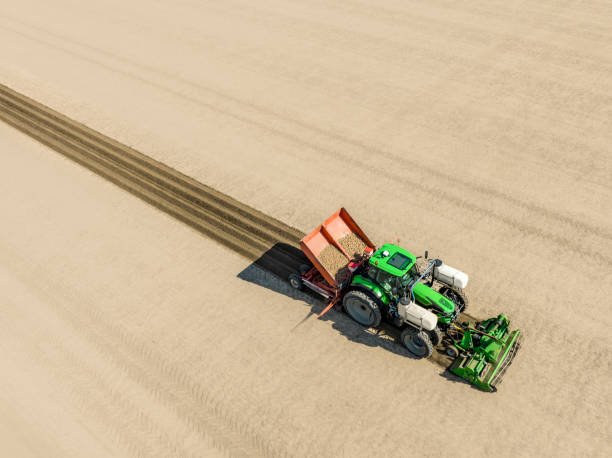 istock Tractor planting potato seeldings in  the soil during springtime 1400042547