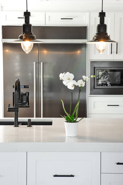 cucina moderna in bianco e nero - rectangle redecorate foto e immagini stock