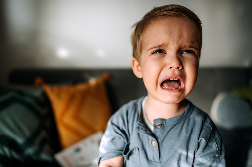 Portrait of cute crying toddler