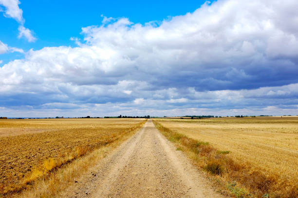 Carretera Boadilla del Camino - Itero de la Vega on the Way of Saint James (Camino de Santiago), Castile and León, Spain