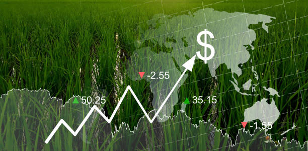 istock Global food crisis. 1400044987