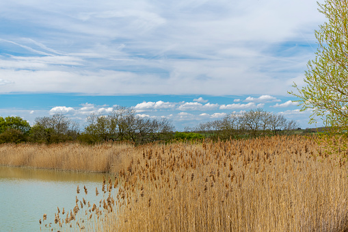 hiking near the city of Haaksbergen in the netherlands at late summer time