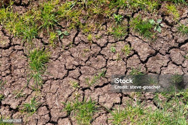 Dry Cracked Earth In The Fens Of Cambridgeshire England Stock Photo - Download Image Now