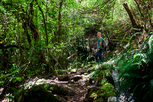 Man Hiking in the Laurel Forest in Madeira Island