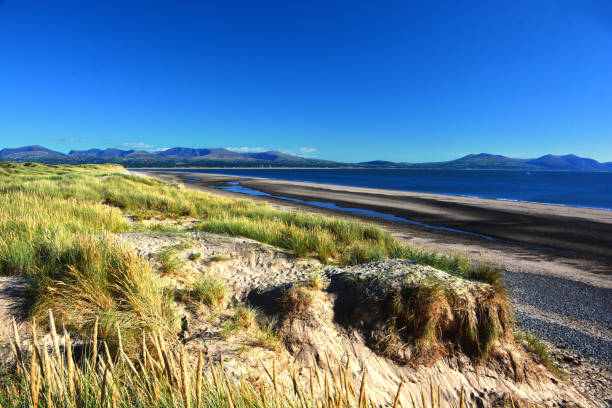 istock Llanddwyn Bay & Newborough 1400052150