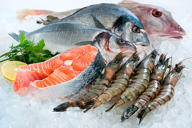 Seafood on ice Seafood on ice at the fish market catch of fish photos stock pictures, royalty-free photos & images