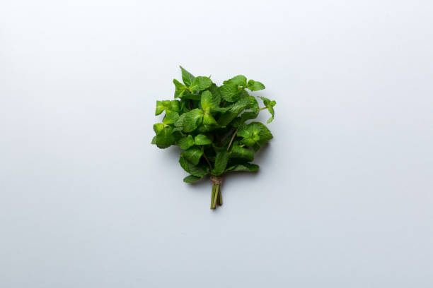 Mint leaf. Fresh mint on Colored background. Mint leaves isolated Top view with copy space