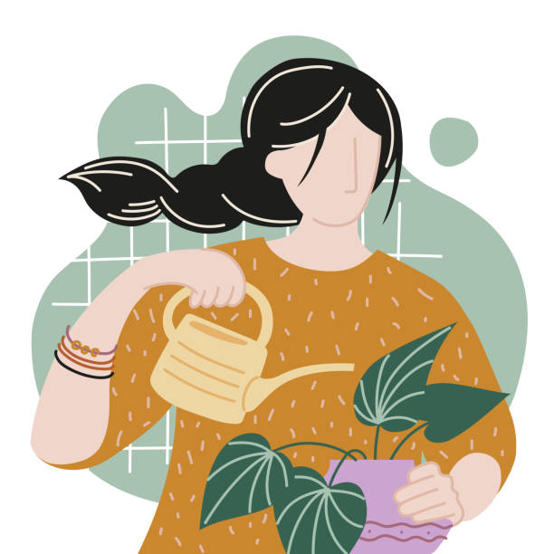 illustrazioni stock, clip art, cartoni animati e icone di tendenza di piante d'appartamento. ragazza che annaffia fiori interni da un annaffiatoio. - curbstone