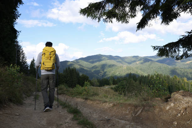 Tourist with backpack and trekking poles hiking through mountains, back view. Space for text