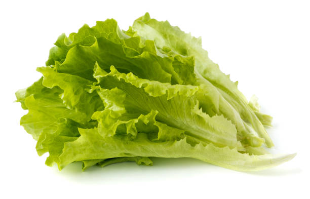 свежий салат изолирован - lettuce стоковые фото и изображения