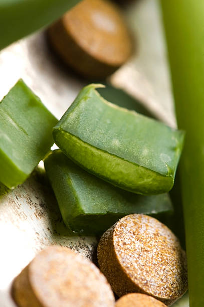 istock aloe vera plant with pills - herbal medicine 140005821