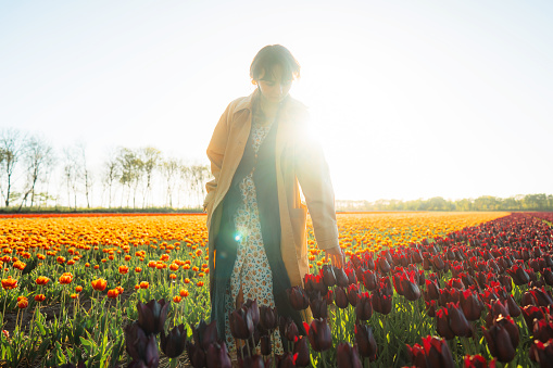 Young Caucasian woman  on tulip field in the Netherlands