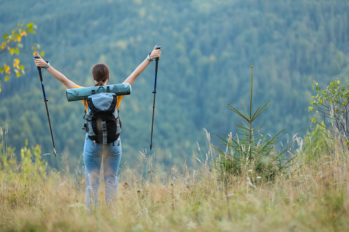 Woman with backpack and trekking poles hiking in mountains, back view. Space for text
