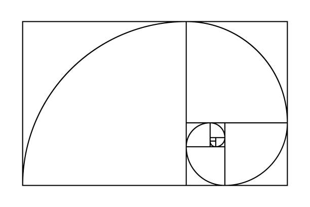 illustrazioni stock, clip art, cartoni animati e icone di tendenza di spirale del rapporto aureo. proporzione geometrica ideale, modello di sezioni divine su sfondo bianco. forme di simmetria matematica, griglia geometrica, illustrazione vettoriale - ruled lines immagine