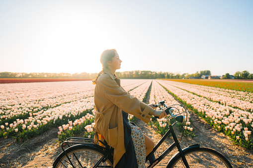 Young Caucasian woman riding on bicycle on tulip field in the Netherlands