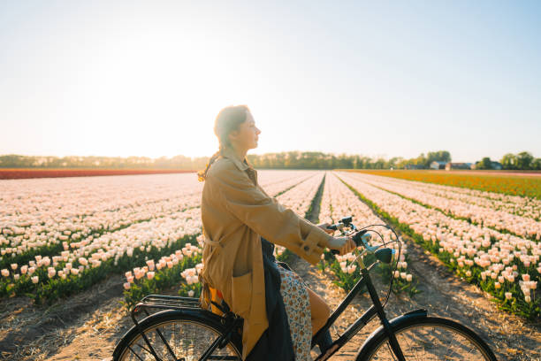 Woman riding on bicycle on tulip field in the Netherlands stock photo