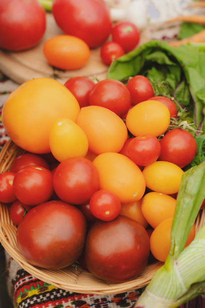 istock Different varieties of tomatoes on a platter. 1400060355
