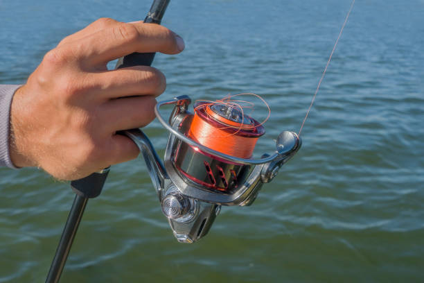 50+ Tangled Fishing Reel Stock Photos, Pictures & Royalty-Free