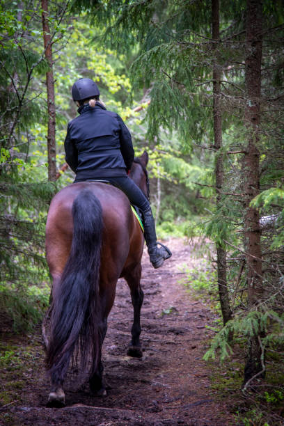 istock Woman horseback riding in forest path 1400061831