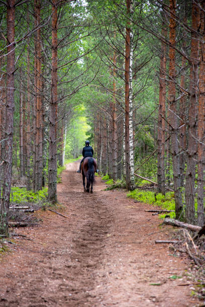 istock Woman horseback riding in forest path 1400061832