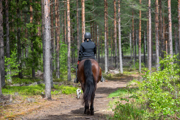 istock Woman horseback riding in forest path 1400061860