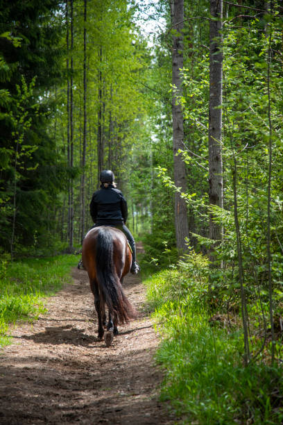 istock Woman horseback riding in forest path 1400062051