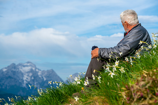 Senior man, Parkinson disease patient, resting while sitting in blurred flowers slope on top of mountain, Golica, Slovenia. He is surrounded with beautiful daffodil narcissus flower with white outer petals and a shallow orange or yellow cup in the center. In background are highest Slovenian mountains. It is near Jesenice in Slovenia, spring time.