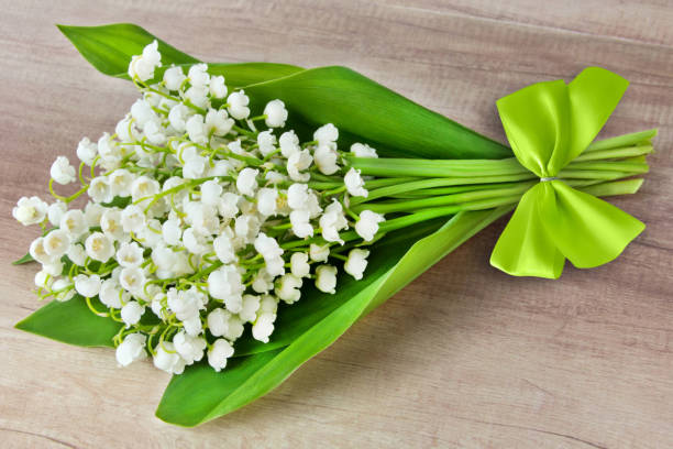 Lilies of the valley on wooden background Lilies of the valley on wooden background whitsun stock pictures, royalty-free photos & images