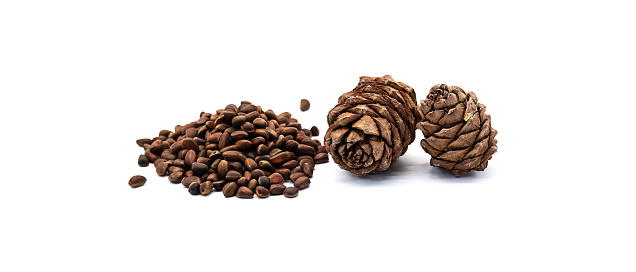 Cedar cones and unshelled pine nuts on white background.