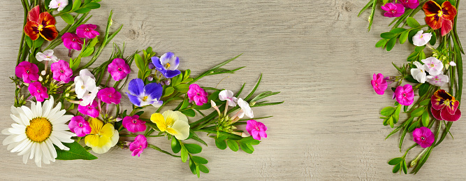 Flower arrangement of daisies, phloxes and violets on gray background. Place for your text. Wide photo.