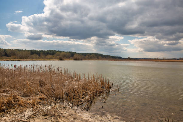istock Lake in the forest. Velyki Berezhtsi, Ternopil region, Ukraine. 1400066607
