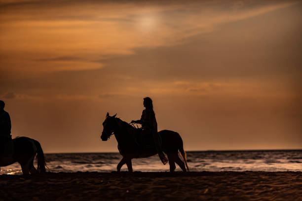 istock Recreational horseback riding at sunset! 1400066754