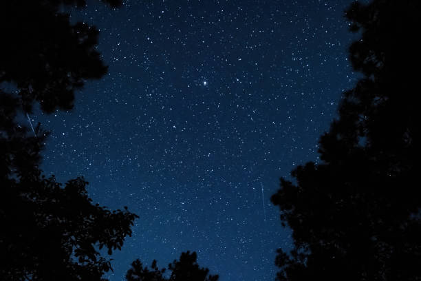 istock View of the starry sky in the forest 1400067055