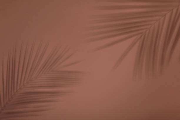 istock Shadows of tropical palm branches on brown wall 1400071440
