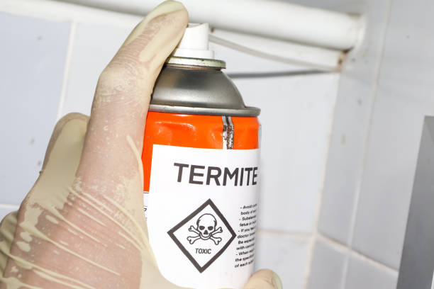 istock Spray chemicals to kill termites in the wall holes 1400073546