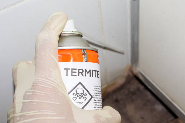 istock Spray chemicals to kill termites in the wall holes 1400073603