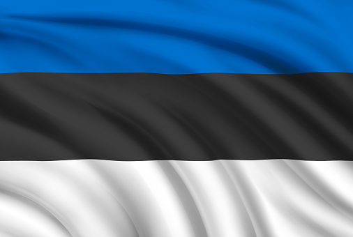 Flag of Estonia. Vector illustration