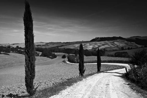 istock Italy in black and white, panorama 1400075763