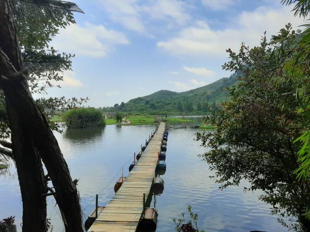 istock Lake swamp gede 1400076901