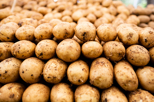 Potatoes on the market stall in the traditional bazaar.