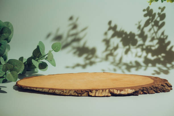 Wooden podium for product Wooden podium with leaves and shadows. Realistic wood platform for product presentation. Minimal nature scene with pedestal mockup. cosmetic display or award ceremony wood podium stock pictures, royalty-free photos & images