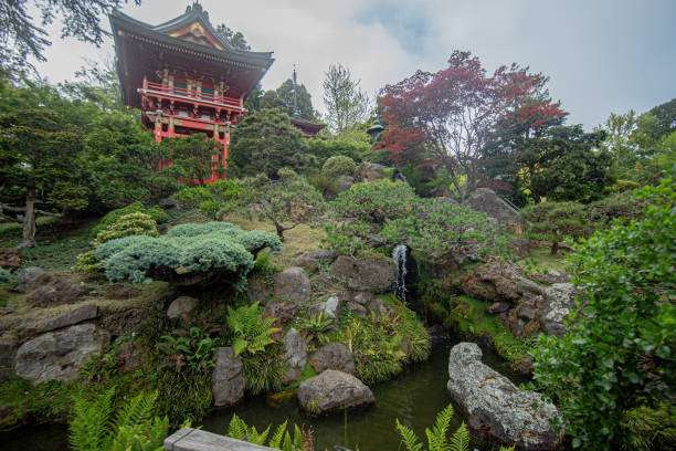 istock San Francisco Japanese Tea Garden 1400082376