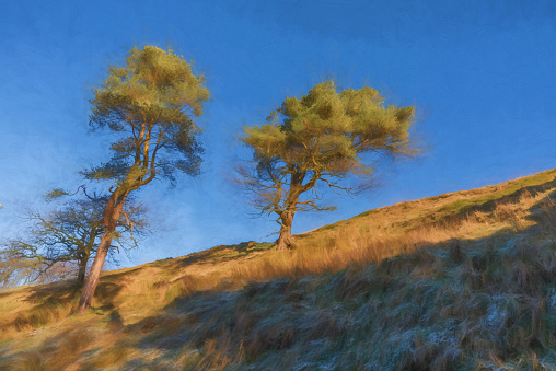 Digital painting of two trees at Goyt valley within the Peak District National Park.