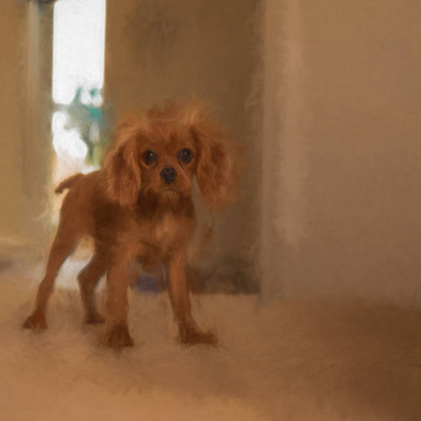 istock Digital painting of a single ruby Cavalier King Charles Spaniel puppy. 1400086071