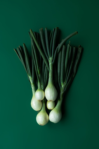 Monochrome photo of fresh onion on a green background
