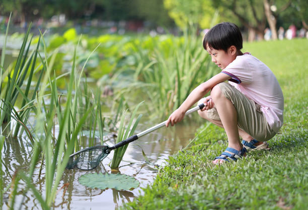 istock boy by a river with a fishing net 1400087188
