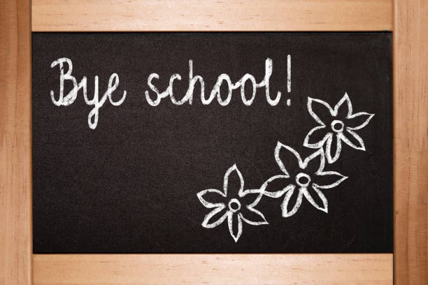 education concept, back to school written on blackboard, university