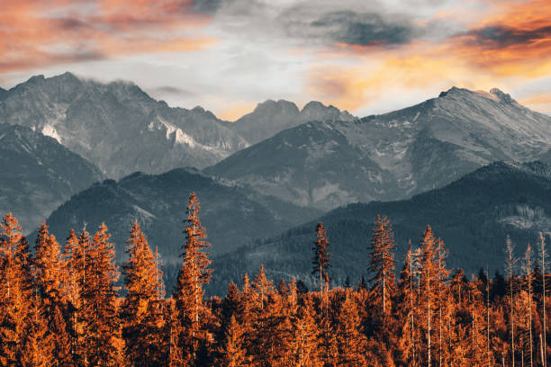 Tatra mountains at sunset with forest valley landscape at autumn Tatra mountains at sunset with forest valley landscape at autumn in Poland. Majestic view zakopane stock pictures, royalty-free photos & images