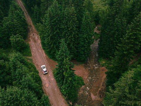 aerial view of suv car on trail road in forest copy space
